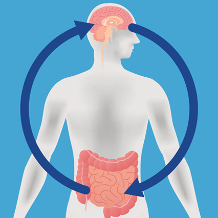 An illustration of the gut-brain connection highlighting the bidirectional communication between the brain and digestive system.