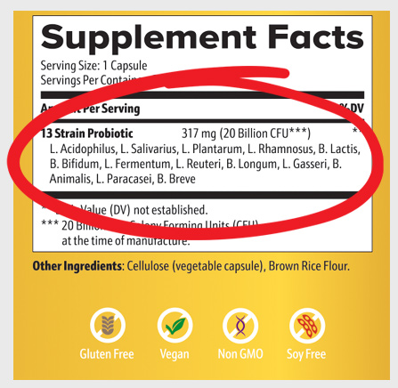 An image of the Probiotic supplement facts label highlighting the 13 strain of probiotics with
                    20 billion CFU (colony-forming units)